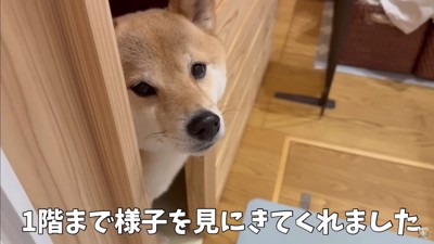 1階までやってきた