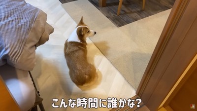 横を見る犬