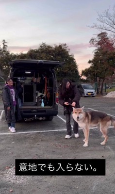 絶対に帰りたくない