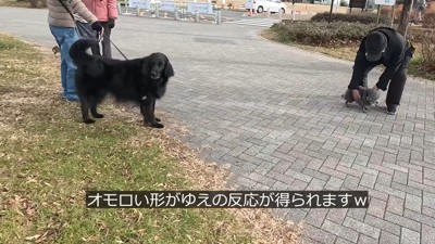 ぽん太君とゆず君のおかげで、みんな笑顔に♪