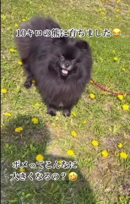 なんにせよ可愛い♡