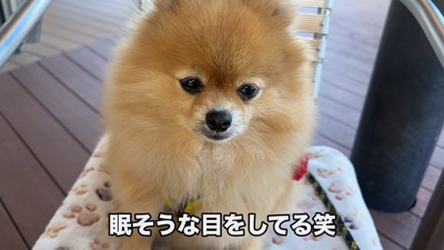 だんだん眠くなってきて…？
