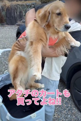 切ない表情にクスッ