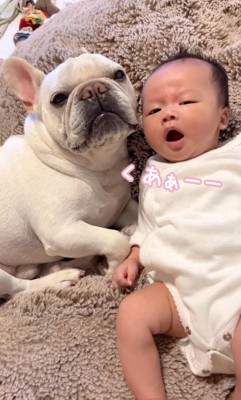 赤ちゃんもあくび！