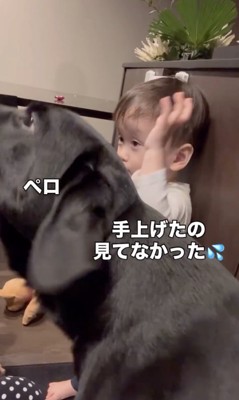 ママには見えてなかったけど、男の子なりの謝罪