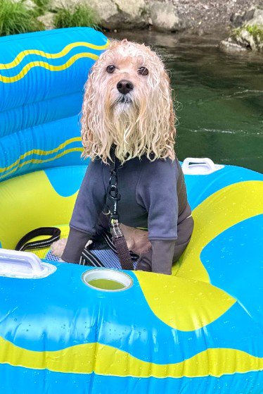 悟っていらっしゃる…!