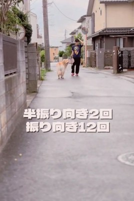 たくさん振り向いたメルくん