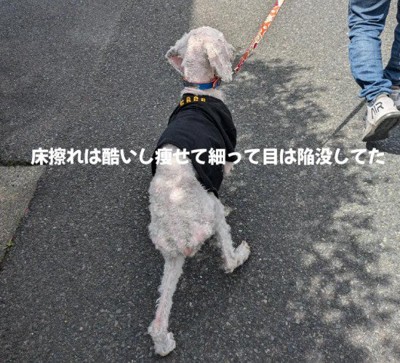 少しずつ体力をつける