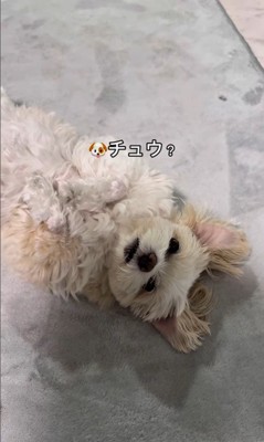 そあまるちゃんにキスしようとした時の反応5