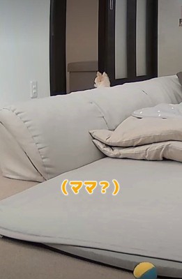 「ママがいない…」