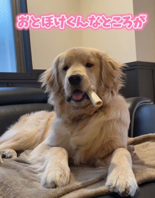 とぼけてることも