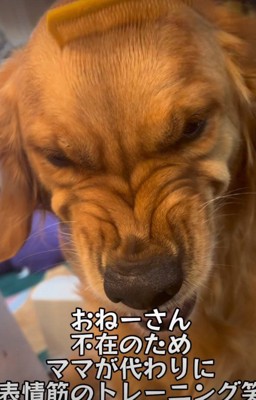 ブチギレた範馬勇次郎?