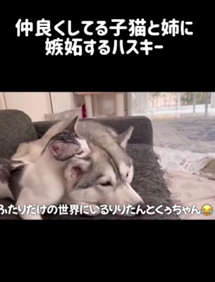 まったく気づかない2匹でした