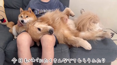 みんな大好きなパパ