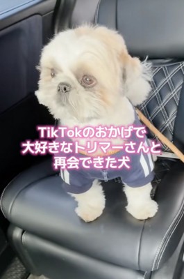 奇跡の再会です