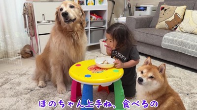 仲良しな3兄妹