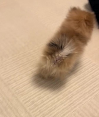 まだまだ下がって…