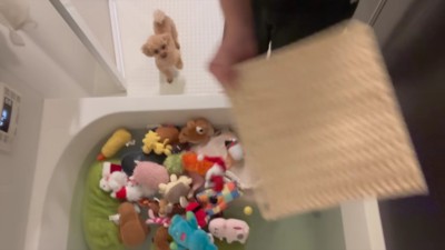 おもちゃも投入!