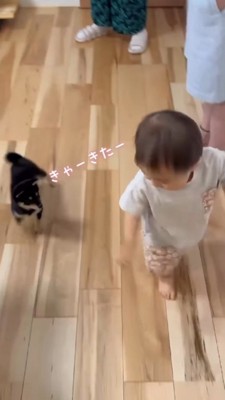 男の子のまわりを走る子犬