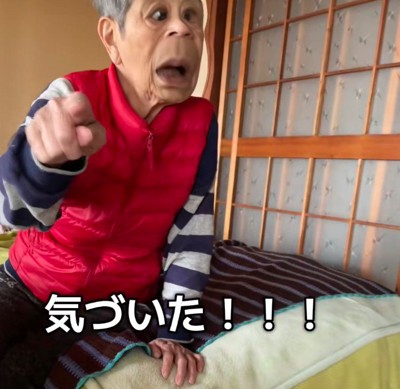「あれ…？」