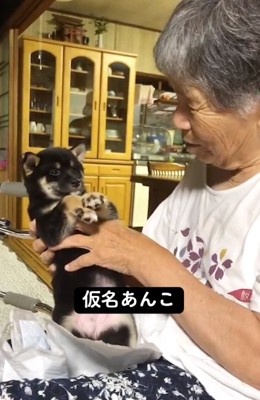 名前を呼びかけるおばあちゃん2