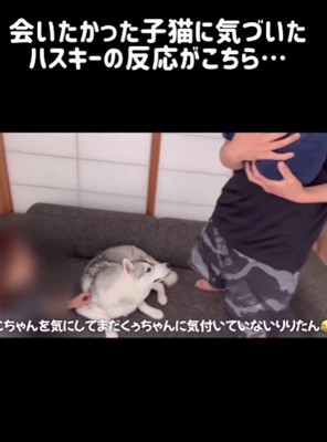 気が付かないりりたん