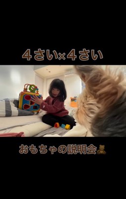 4歳の女の子と虎太郎くん