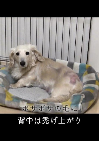 体はボロボロ…