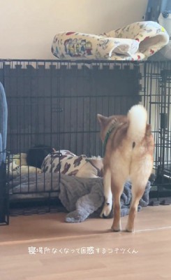 可愛い先客が♡