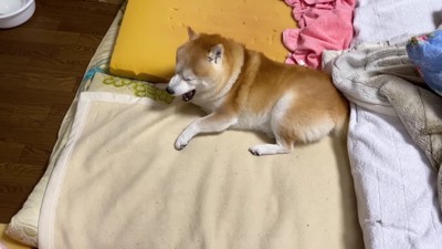 「いい時間だったなあ」