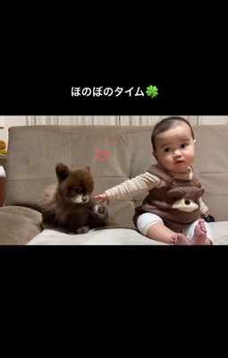 あんこちゃんと赤ちゃん2