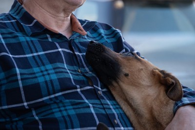 飼い主に体を預けて離れようとしない犬