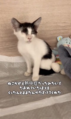 無事に保護されました