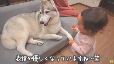 娘さんも大切な妹♡