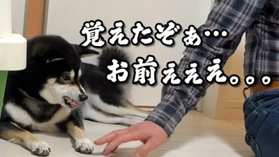すみすみちゃんは激怒!