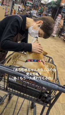 店員の口に鼻を近づける犬