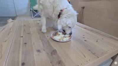 これからも元気でね！！