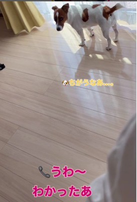 「誰もいない」