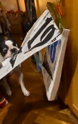 カレンダーをめくり始めるマルタくん