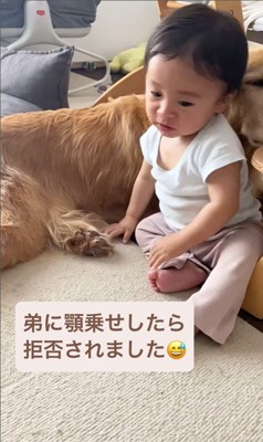ラジャーくんが息子くんにあご乗せしてみたら9