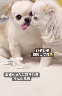 「え!そうなの?」