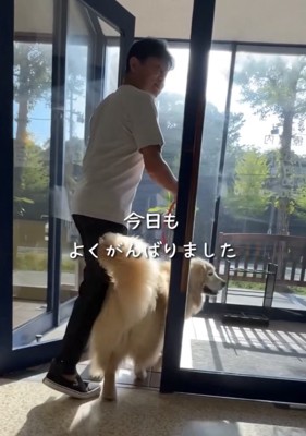 病院を出る犬