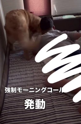 モーニングコール発動