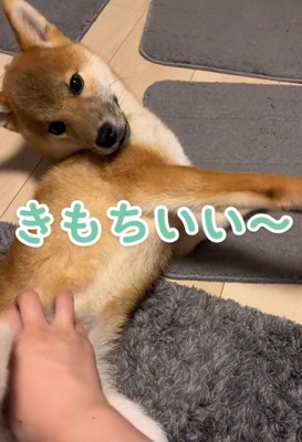 マットの上でゴロゴロ