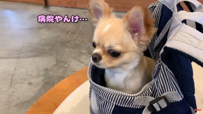「ここ病院じゃん!騙された…」