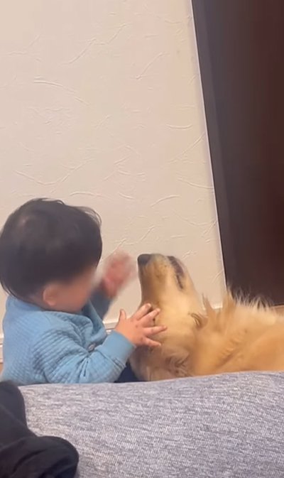 子供と大型犬