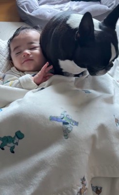 こんぶちゃんと赤ちゃん7