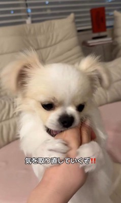 歯磨きガムを怖がるぽっぷくん9