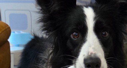 赤ちゃんのズボンを脱がせたら…