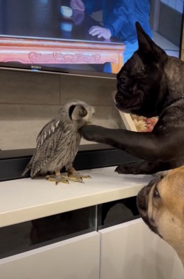 仲良くなりたい…！